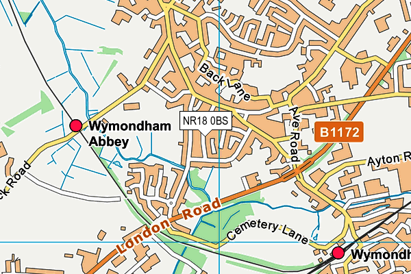 NR18 0BS map - OS VectorMap District (Ordnance Survey)