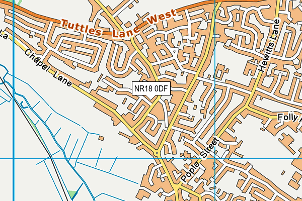 NR18 0DF map - OS VectorMap District (Ordnance Survey)