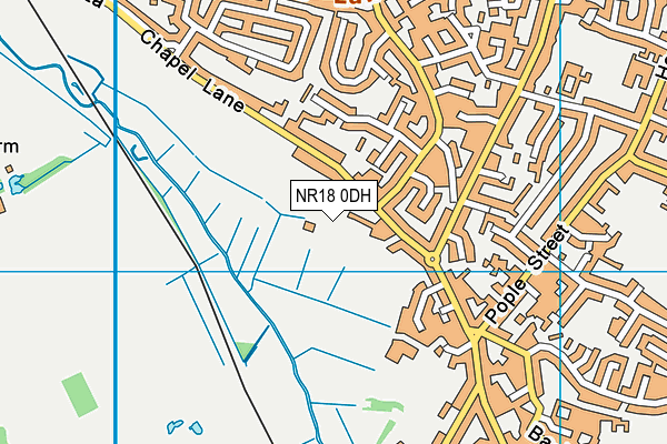 NR18 0DH map - OS VectorMap District (Ordnance Survey)