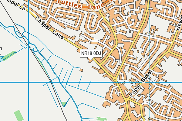 NR18 0DJ map - OS VectorMap District (Ordnance Survey)