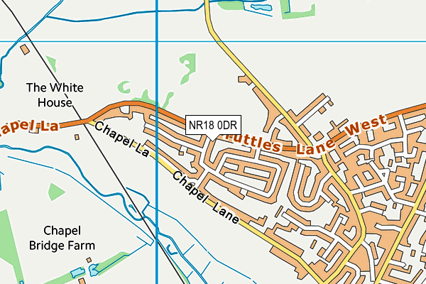 NR18 0DR map - OS VectorMap District (Ordnance Survey)