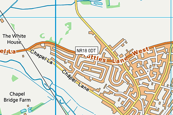 NR18 0DT map - OS VectorMap District (Ordnance Survey)