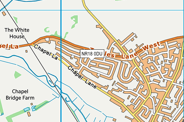 NR18 0DU map - OS VectorMap District (Ordnance Survey)