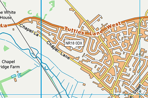 NR18 0DX map - OS VectorMap District (Ordnance Survey)