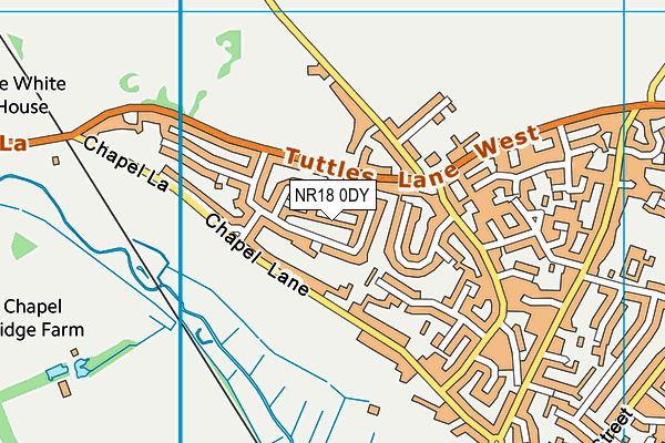 NR18 0DY map - OS VectorMap District (Ordnance Survey)