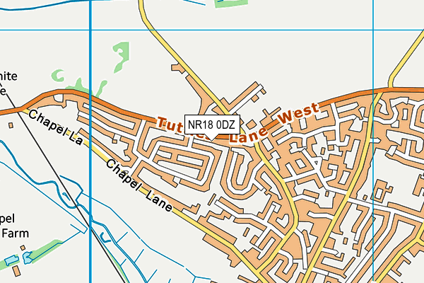 NR18 0DZ map - OS VectorMap District (Ordnance Survey)