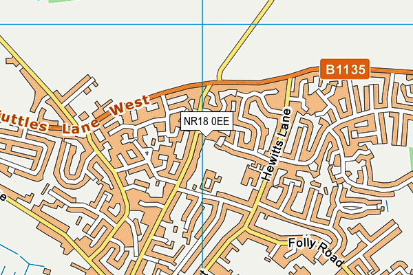 NR18 0EE map - OS VectorMap District (Ordnance Survey)