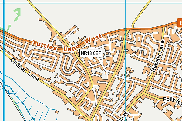 NR18 0EF map - OS VectorMap District (Ordnance Survey)
