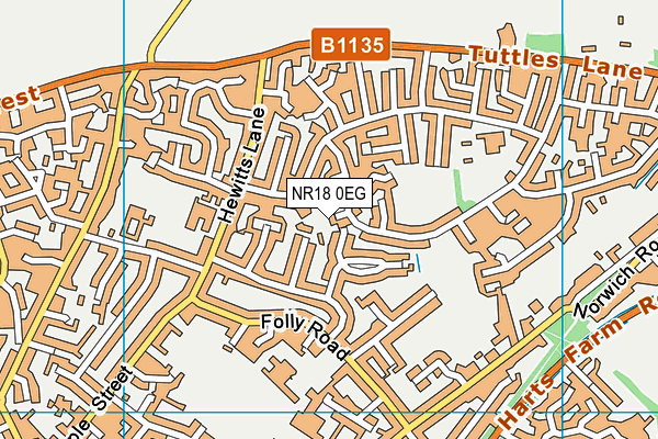 NR18 0EG map - OS VectorMap District (Ordnance Survey)