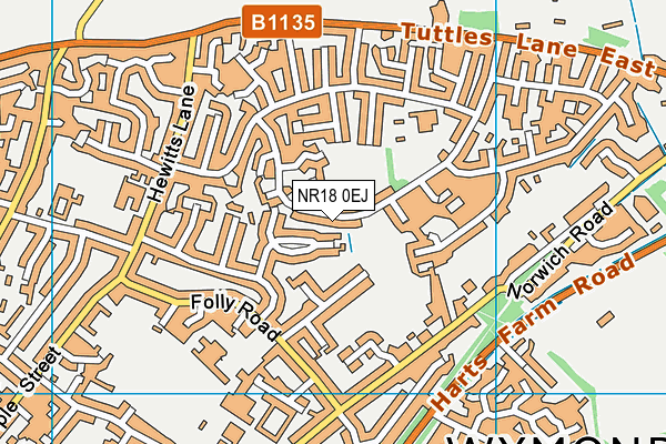 NR18 0EJ map - OS VectorMap District (Ordnance Survey)