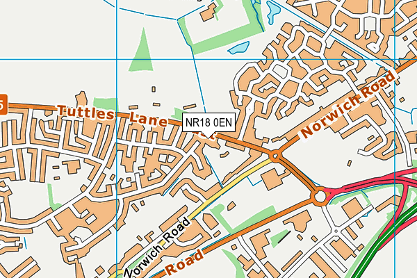 NR18 0EN map - OS VectorMap District (Ordnance Survey)