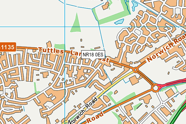 NR18 0ES map - OS VectorMap District (Ordnance Survey)