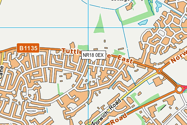 NR18 0EX map - OS VectorMap District (Ordnance Survey)