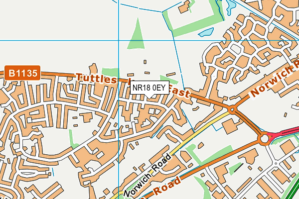 NR18 0EY map - OS VectorMap District (Ordnance Survey)