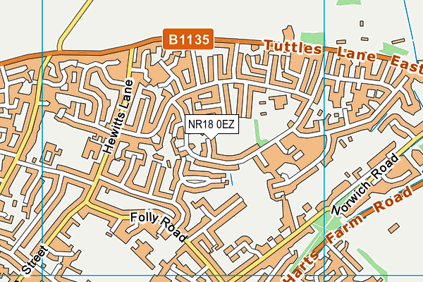 NR18 0EZ map - OS VectorMap District (Ordnance Survey)