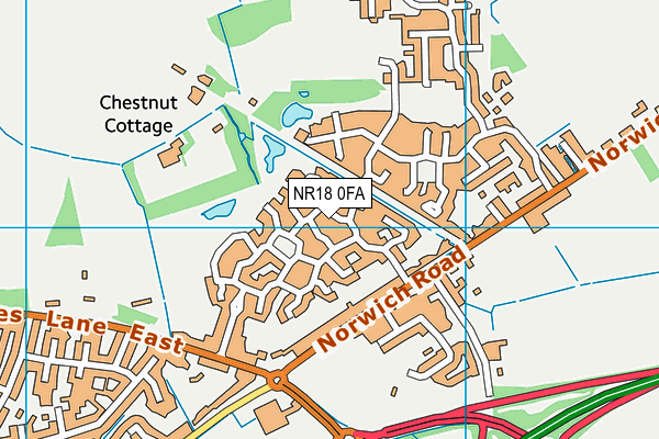 NR18 0FA map - OS VectorMap District (Ordnance Survey)