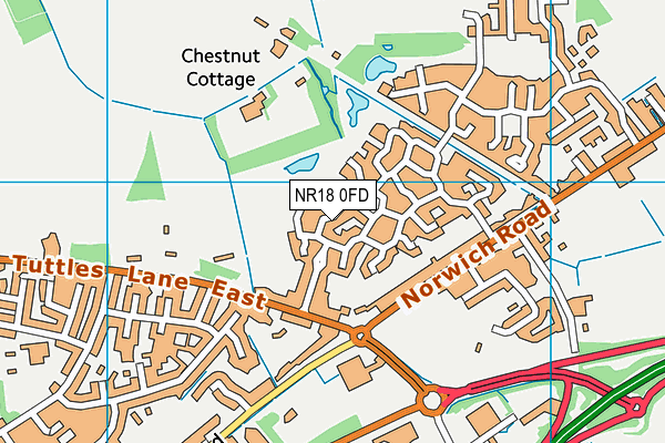 NR18 0FD map - OS VectorMap District (Ordnance Survey)