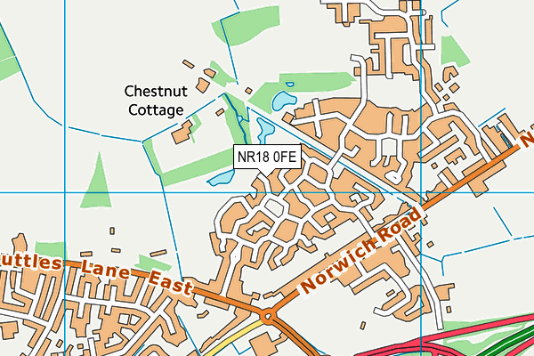 NR18 0FE map - OS VectorMap District (Ordnance Survey)