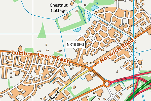 NR18 0FG map - OS VectorMap District (Ordnance Survey)