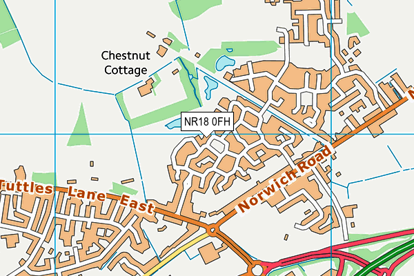 NR18 0FH map - OS VectorMap District (Ordnance Survey)