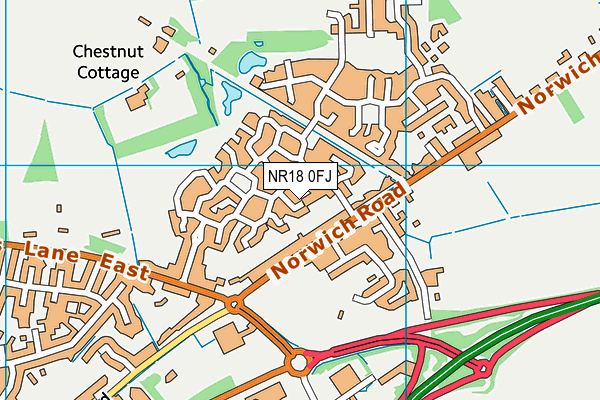 NR18 0FJ map - OS VectorMap District (Ordnance Survey)
