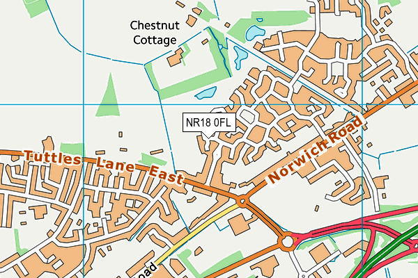 NR18 0FL map - OS VectorMap District (Ordnance Survey)