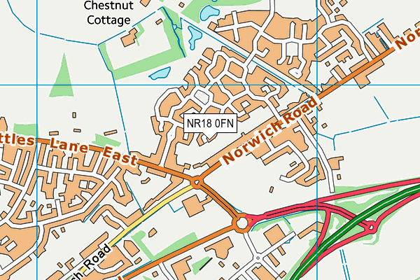 NR18 0FN map - OS VectorMap District (Ordnance Survey)