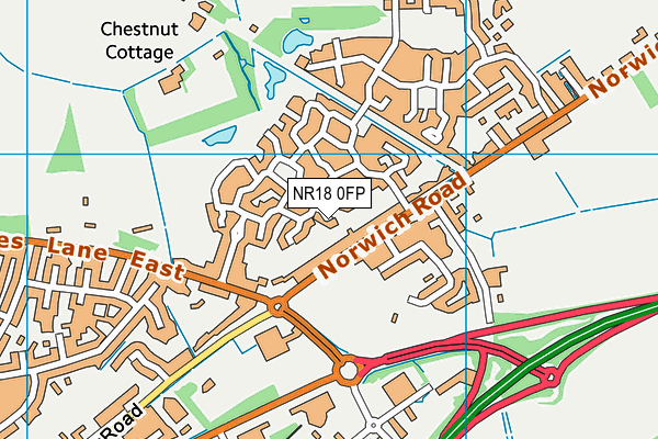 NR18 0FP map - OS VectorMap District (Ordnance Survey)