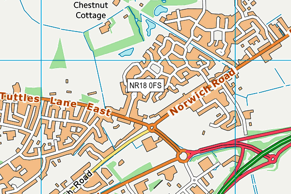 NR18 0FS map - OS VectorMap District (Ordnance Survey)
