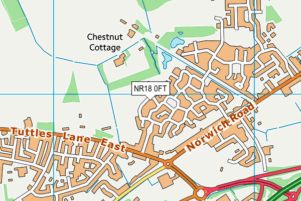 NR18 0FT map - OS VectorMap District (Ordnance Survey)