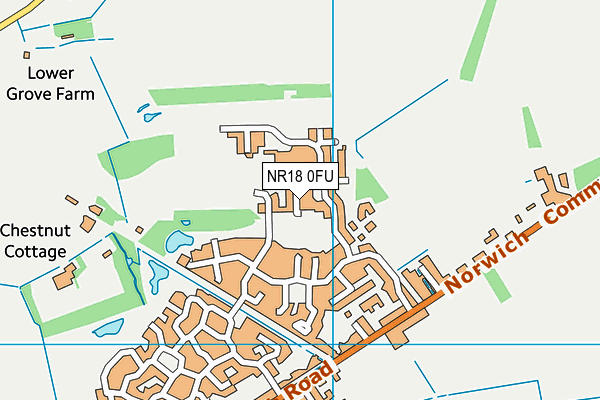 NR18 0FU map - OS VectorMap District (Ordnance Survey)