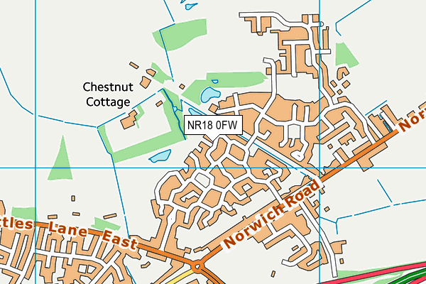 NR18 0FW map - OS VectorMap District (Ordnance Survey)