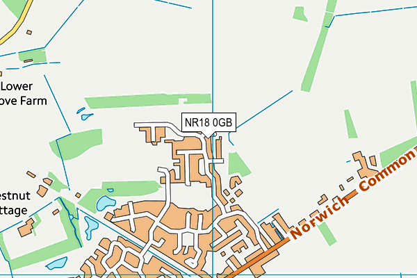 NR18 0GB map - OS VectorMap District (Ordnance Survey)