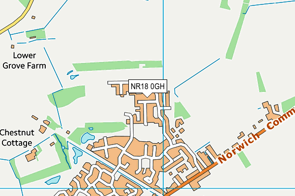 NR18 0GH map - OS VectorMap District (Ordnance Survey)