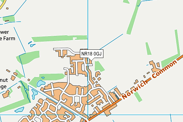 NR18 0GJ map - OS VectorMap District (Ordnance Survey)