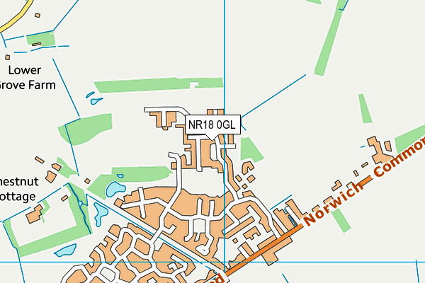 NR18 0GL map - OS VectorMap District (Ordnance Survey)