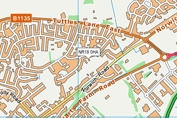 NR18 0HA map - OS VectorMap District (Ordnance Survey)