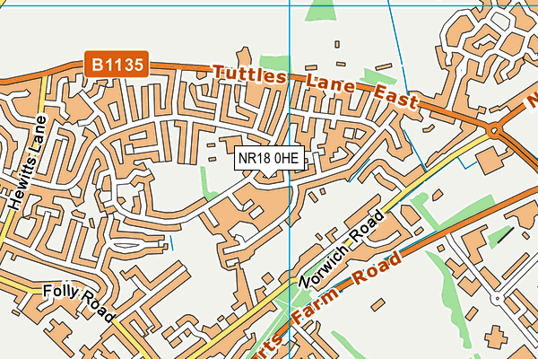 NR18 0HE map - OS VectorMap District (Ordnance Survey)