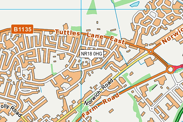 NR18 0HG map - OS VectorMap District (Ordnance Survey)