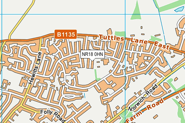 NR18 0HN map - OS VectorMap District (Ordnance Survey)