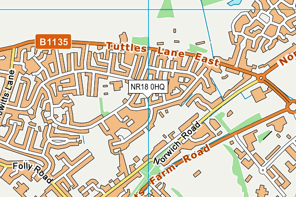 NR18 0HQ map - OS VectorMap District (Ordnance Survey)