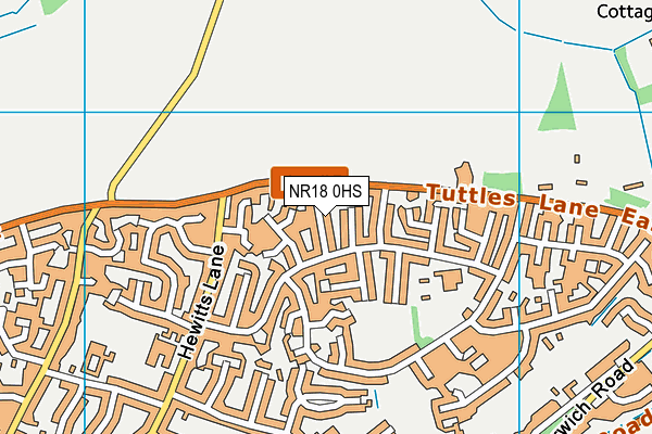 NR18 0HS map - OS VectorMap District (Ordnance Survey)