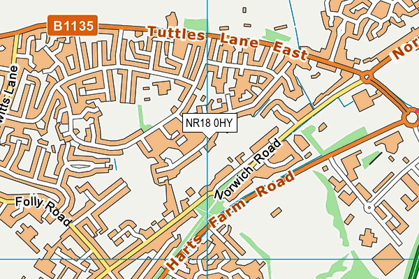 NR18 0HY map - OS VectorMap District (Ordnance Survey)