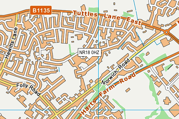 NR18 0HZ map - OS VectorMap District (Ordnance Survey)