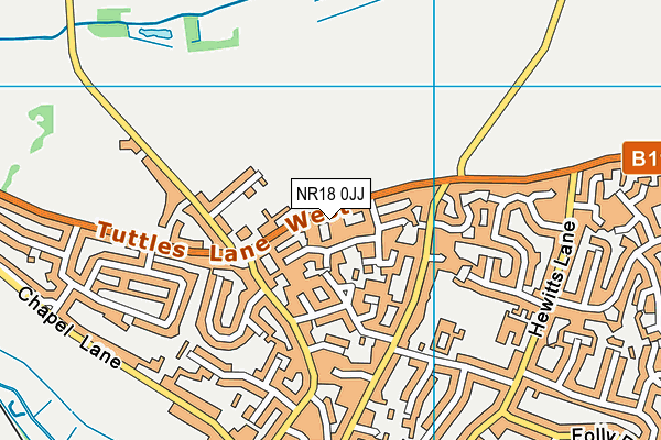 NR18 0JJ map - OS VectorMap District (Ordnance Survey)