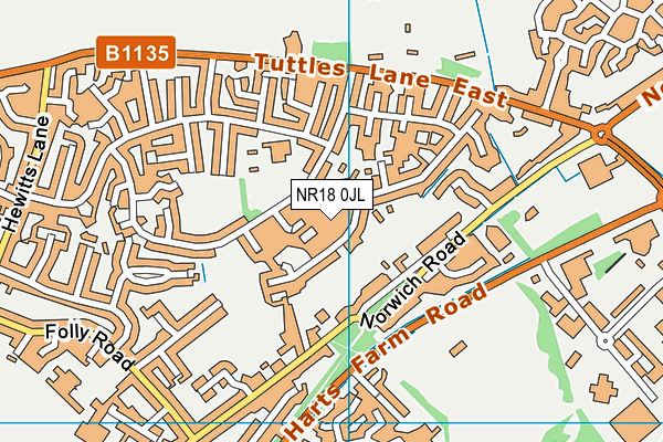 NR18 0JL map - OS VectorMap District (Ordnance Survey)