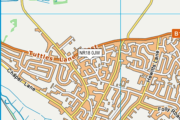 NR18 0JW map - OS VectorMap District (Ordnance Survey)