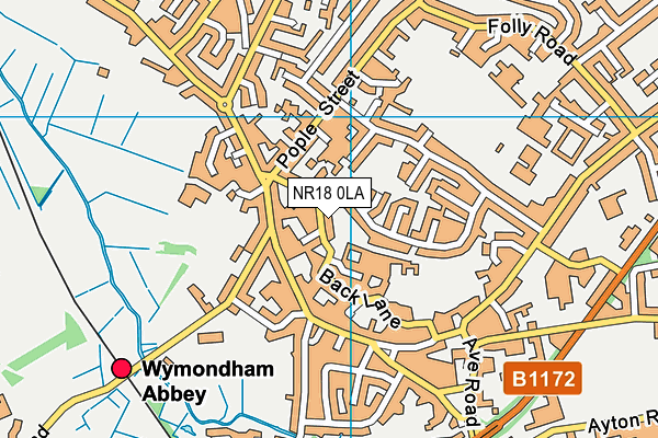 NR18 0LA map - OS VectorMap District (Ordnance Survey)