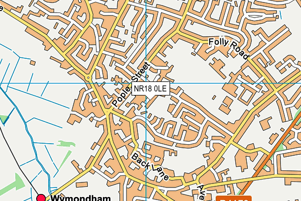 NR18 0LE map - OS VectorMap District (Ordnance Survey)