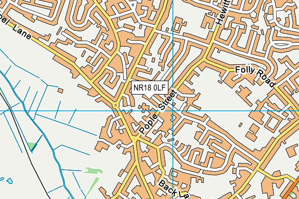 NR18 0LF map - OS VectorMap District (Ordnance Survey)